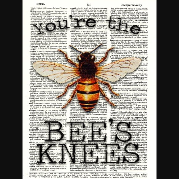 Handmade Other - Bees Knees Dictionary Art Print